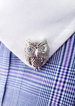 Load image into Gallery viewer, Crystal Rhinestones Owl Collar Pin